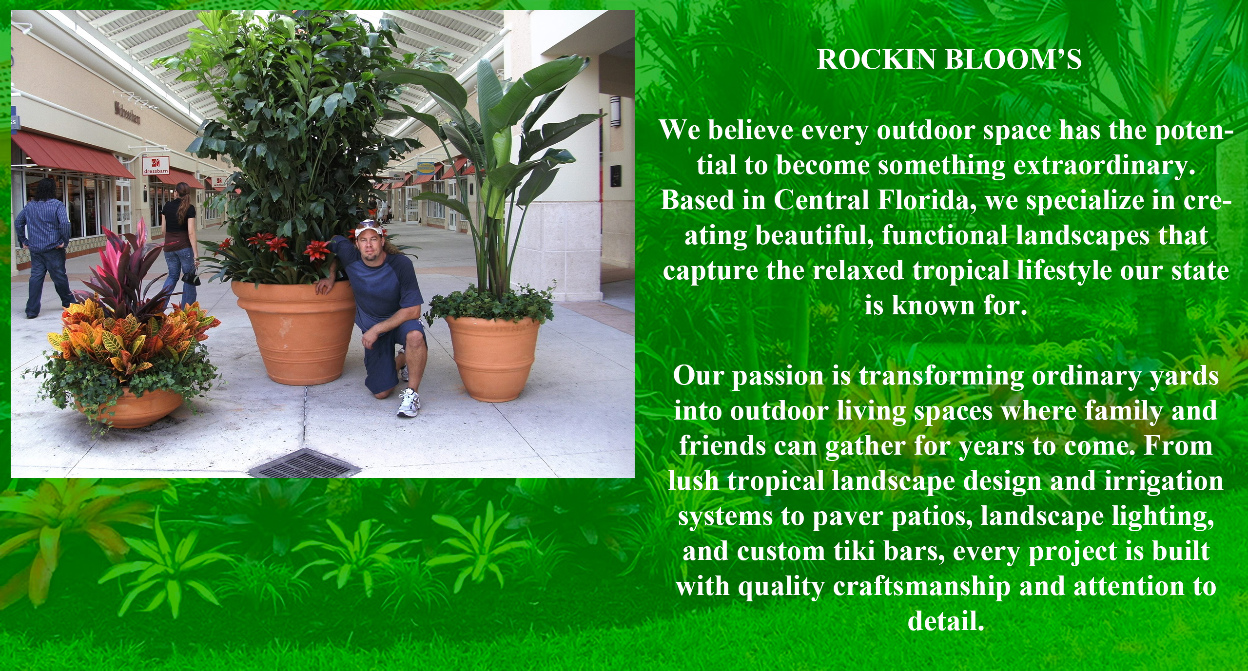 rockin bloom's andrew