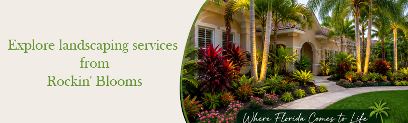 Explore landscaping services from Rockin' Blooms